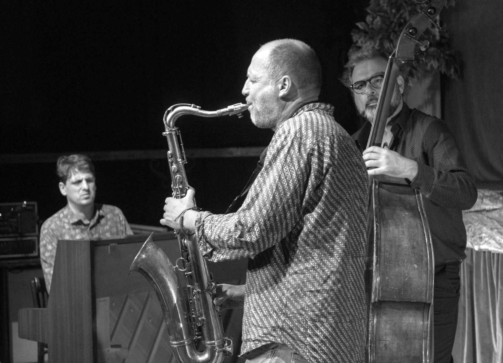 Pascal Mohy - Manu Hermia - Sam Gerstmans